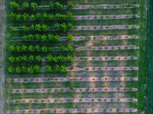 Smart Agriculture technology field dashboard