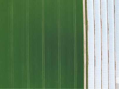 AI data dashboard agriculture
